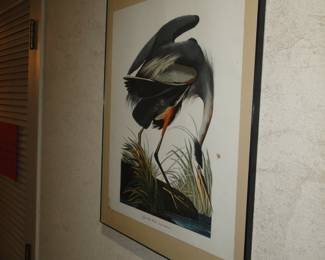 Number 5 bird print