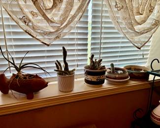 Cacti and planters