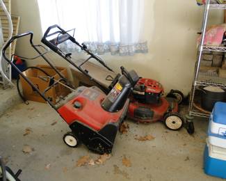 Mower and blower