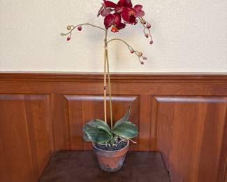 Lot #95 Orchid Plant in Decorative Pot