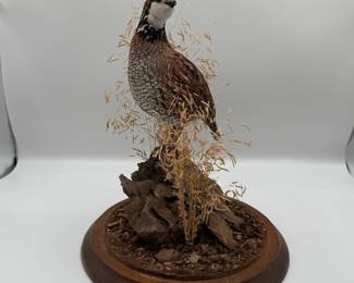 Lot #46 Taxidermy Quail Bird Mount - Decorative Display Piece.