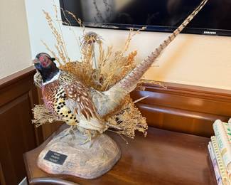 Lot #2 Taxidermy Display - Kansas Ringneck Pheasant
