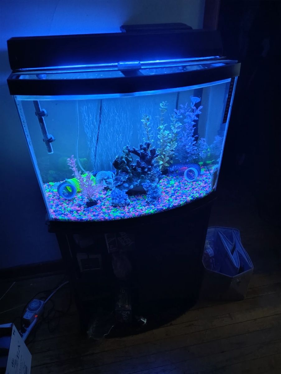 30 gal fish tank