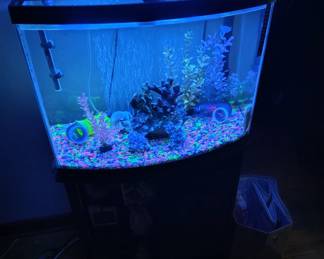 30 gal fish tank