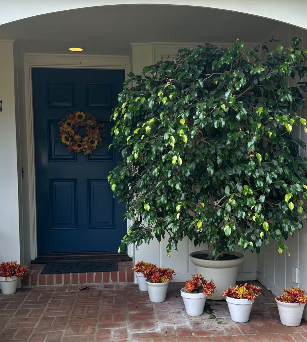 An Inviting Entry with Potted Ficus and Seasonal Wreath...