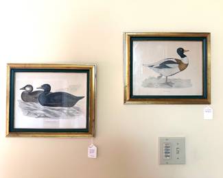 Gilt Framed "Common Scoter" and "Sheldrake" Prints...