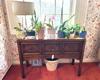 House Plants, Storage Cabinet, Table Lamp...