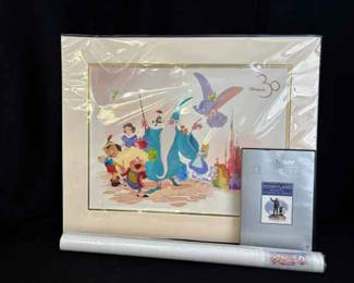Disneyland Paris 30 Matted Poster * Walt Disney Treasures DVD Set * Disney Poster