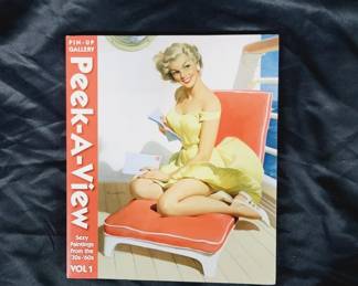 	Pin Up Art Peek A View Gallery Book