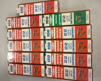 22lr ammo 