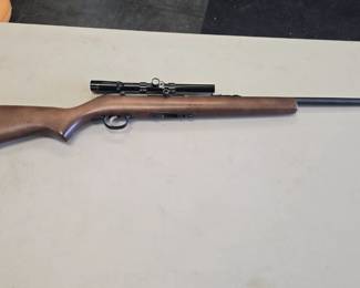 savage 22lr