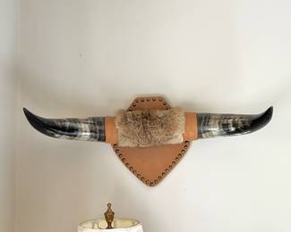 Mounted Steer Horns