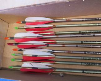 Lot 114. Ten aluminum arrow without tips