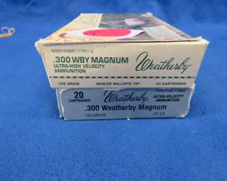 Lot 291. 23 Mixed 300 Win Mag rounds