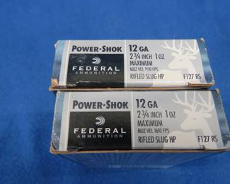 Lot 325. 19 mixed 12-gauge slug rounds