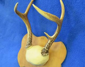 Lot 152. A set of antlers