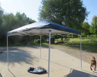 Lot 363. Element 10' x 10' multi-purpose instant canopy in a case with wheels. The AAA staff was able to put this up and take down with little difficulty.