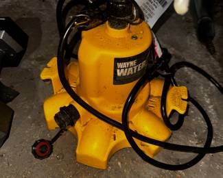 Wayne WaterBug Pump