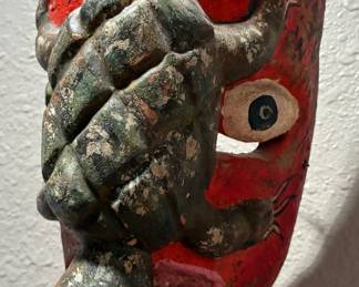 Mexican mask turtle on red face