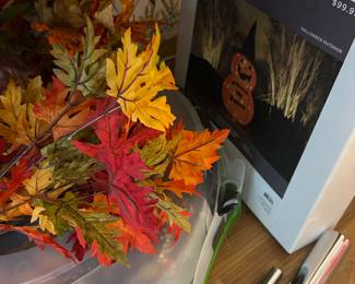 Halloween / fall decor