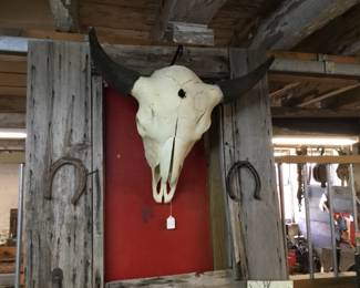 93, skull, horse shoes 
