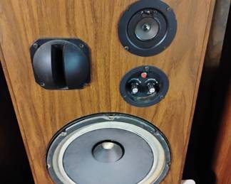 Inside of the speaker