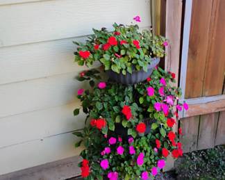 FLOWER 1/2 off