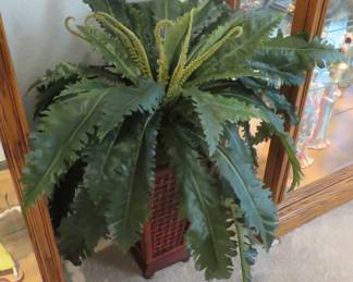 Indoor no maintenance plant