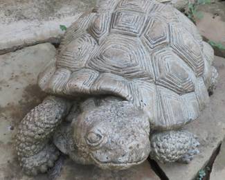 Garden tortoise