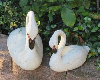 Swans