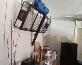Carrier
