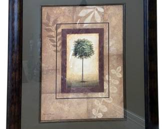 Brazil Nut Tree by Michael Marcon