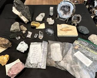 Fossils gemstones