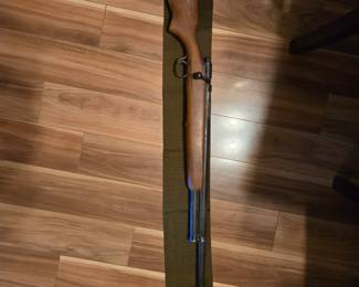 12 gauge bolt-action
