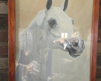 Pencil sketch of an Arabian horse done by a local artist