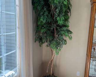 Plant