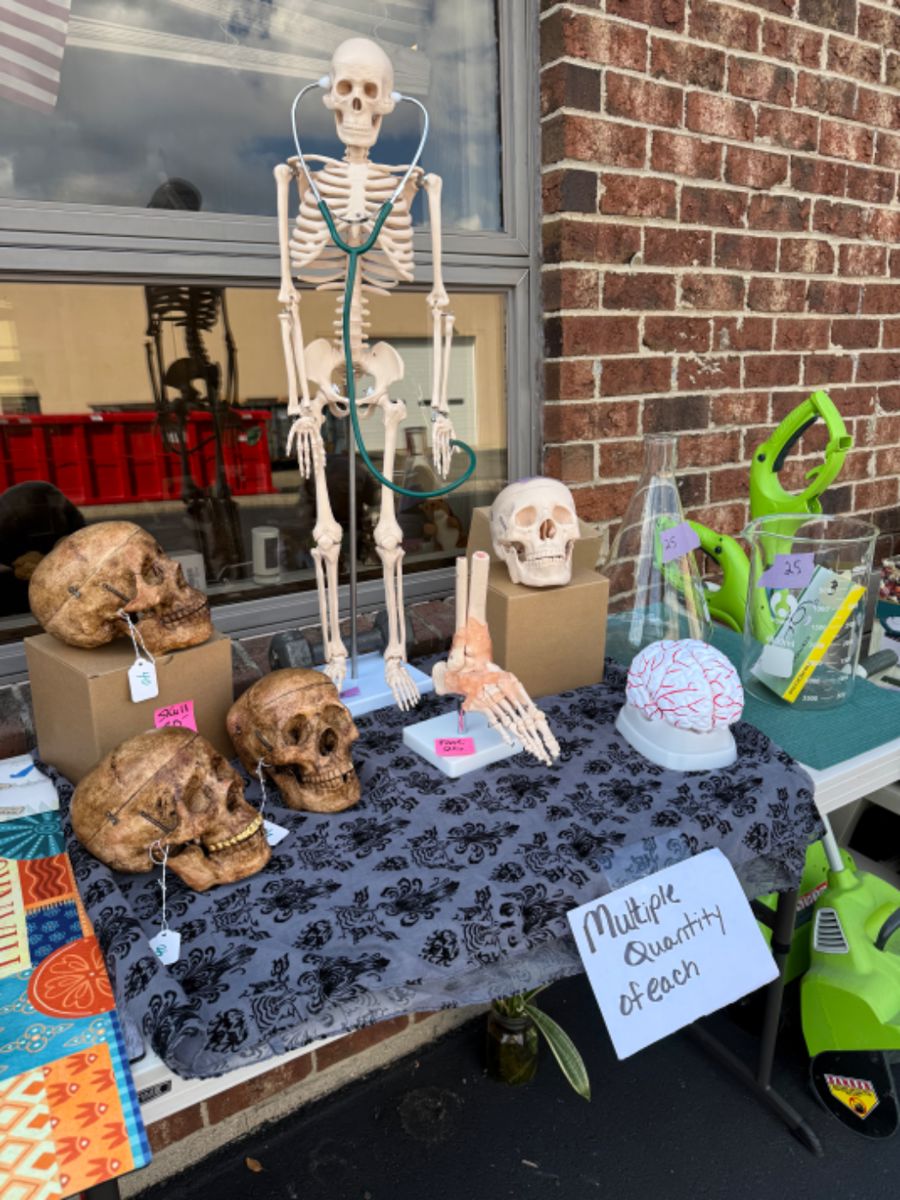 Medical display items great for crafting, example the dark skulls from the new. multiple available