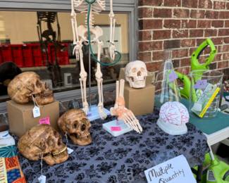 Medical display items great for crafting, example the dark skulls from the new. multiple available