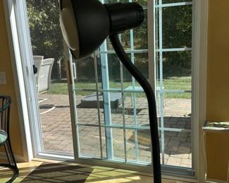 Black Gooseneck Floor Lamp 