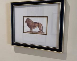 Frame Print of Lion 