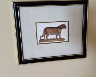Leopard Lithograph Print 