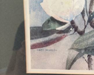 Watercolor Painting of Magnolia Flowers by David Nichols 