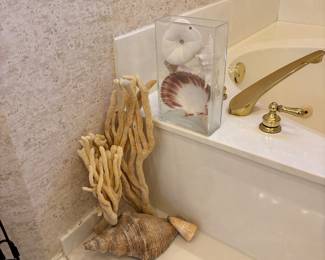 Shells