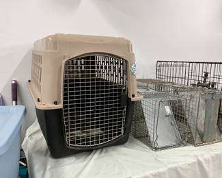 Large Dog Kennel - Live Animal Traps