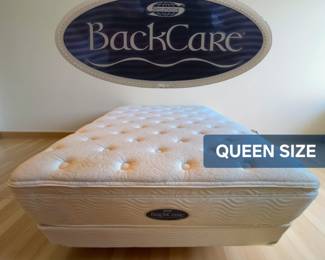 SIMMONS Queen Mattress/Box/Frame bid #30