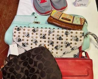Purse and Shoes 