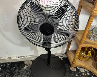 Fan 