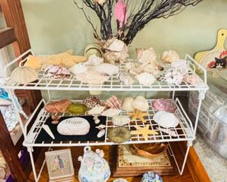 Black Coral Tree / Misc. Shells