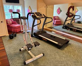 Gym equipment