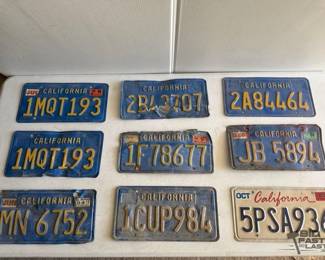 4528 9 License Plates
